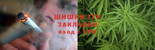 спайс Арсеньев