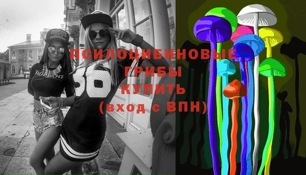 спайс Арсеньев