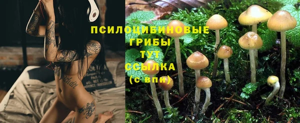 спайс Арсеньев