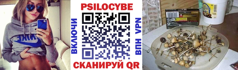 Псилоцибиновые грибы GOLDEN TEACHER  Правдинск 
